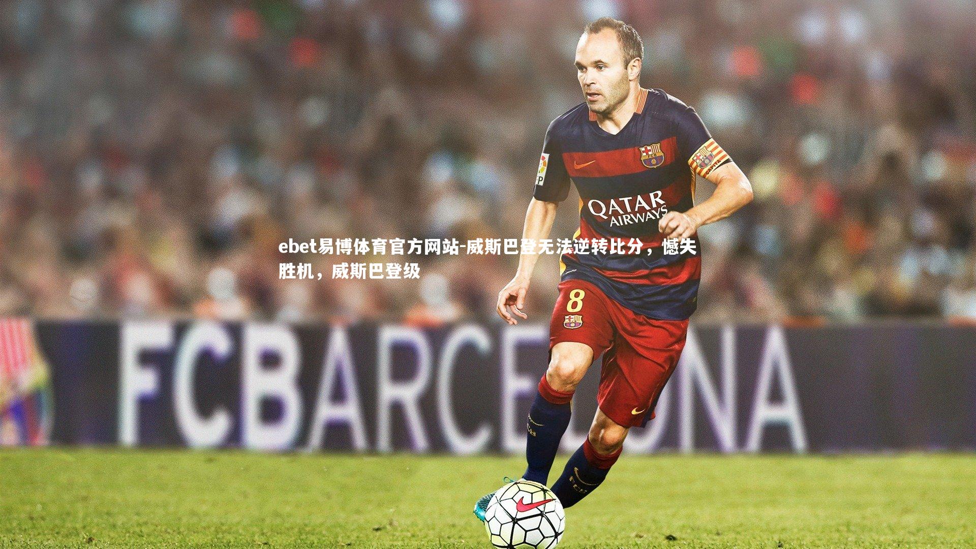 威斯巴登无法逆转比分，憾失胜机，威斯巴登级