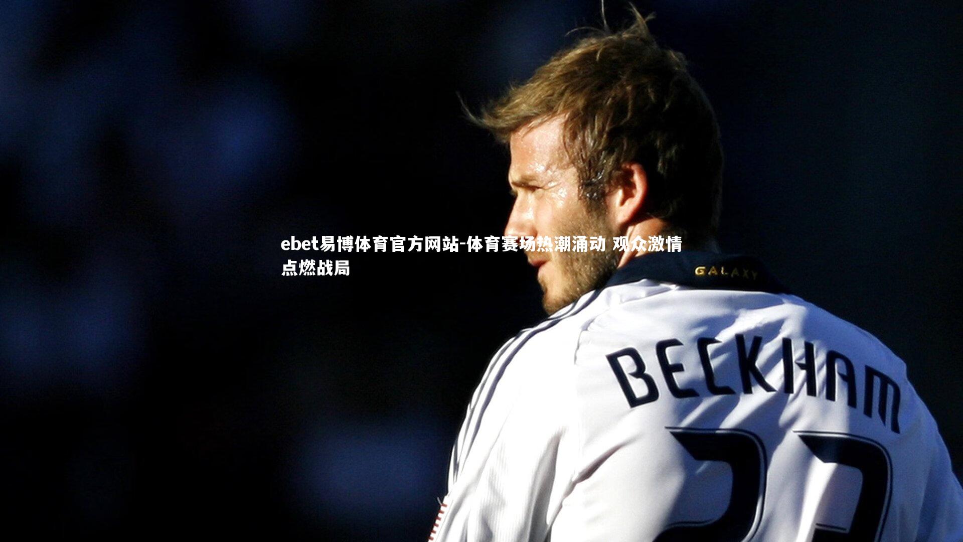 体育赛场热潮涌动 观众激情点燃战局